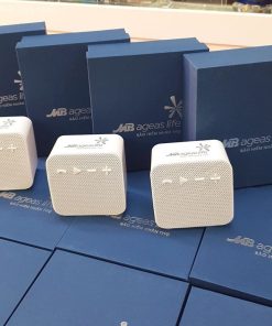 Loa Bluetooth mẫu 01