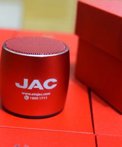 Loa Bluetooth mẫu 02