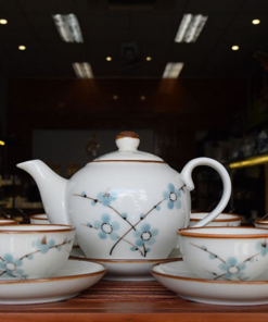 Bộ ấm chén mẫu 06