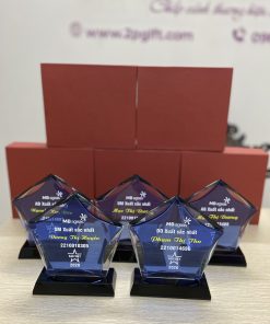 Kỷ niệm chương mẫu 01