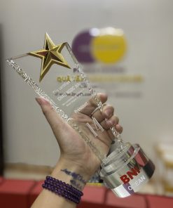 Kỷ niệm chương mẫu 03