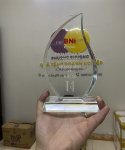 Kỷ niệm chương mẫu 04